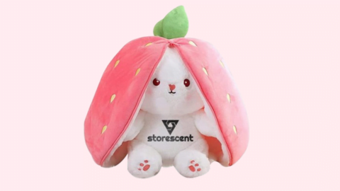 best gift for sister birthday under 500