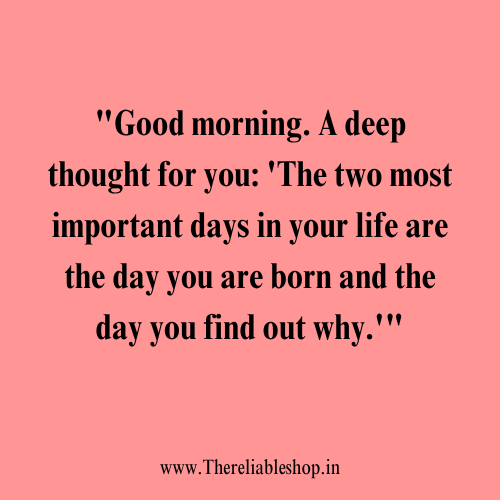 Thursday Morning Pictures