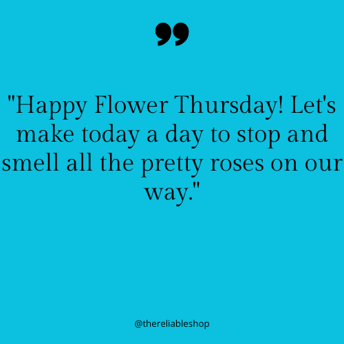 Happy Thursday evening